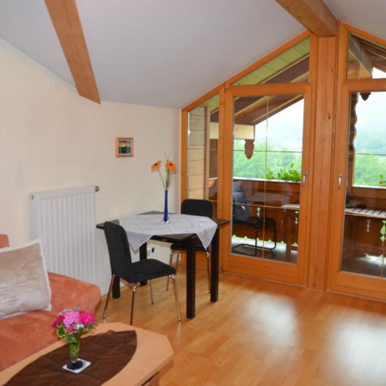 Ferienwohnungen Oberthannlehen - Apartment - 1