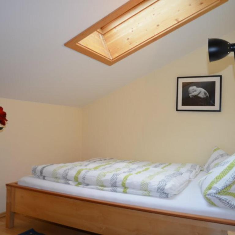 Ferienwohnungen Oberthannlehen - Apartment - 4