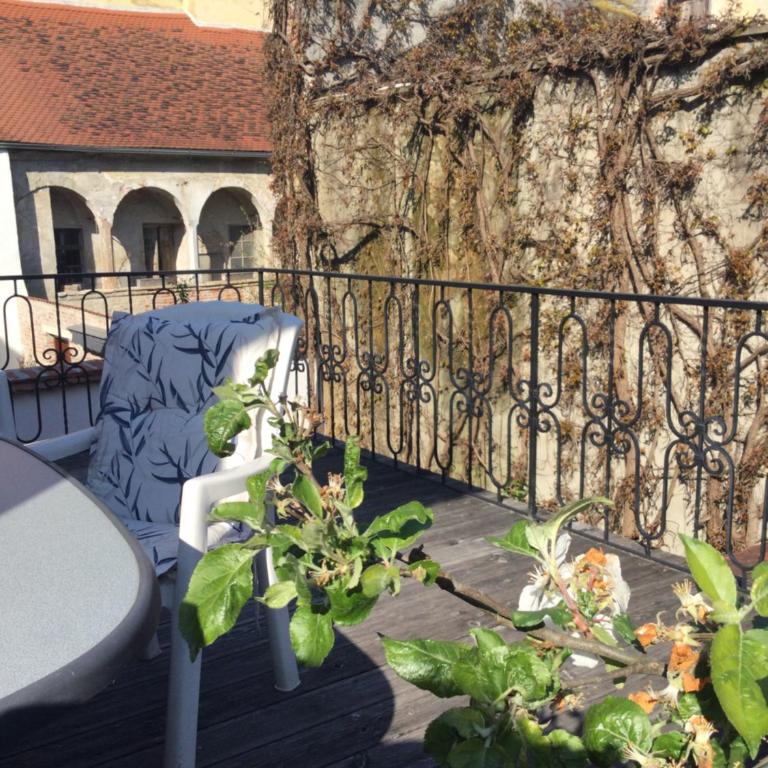 ALTSTADT-APARTMENTS Bad Radkersburg - Ihr Zuhause auf Reisen - Gediegene 88 m² Ferienwohnung „Weißburgunder“ - 1. OG Terrasse Innenhof - 7