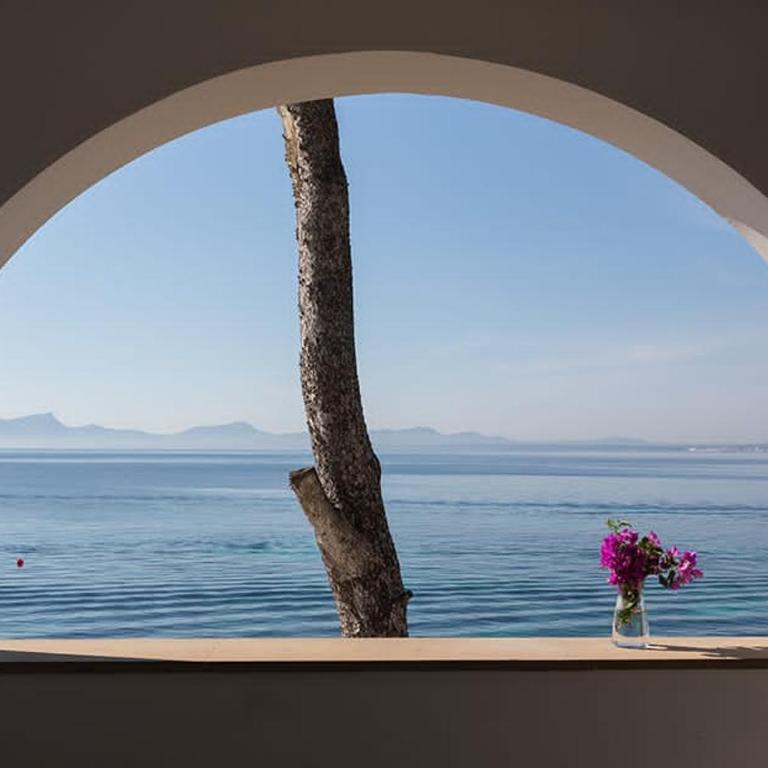 ALCUDIA-VIDA SANA-PRIMERA LINEA DE MAR - Apartamento de 1 dormitorio - 17