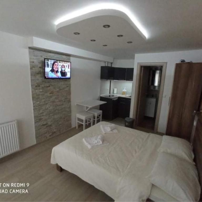 Studio Dunja - Apartman sa 1 Spavaćom Sobom - 2