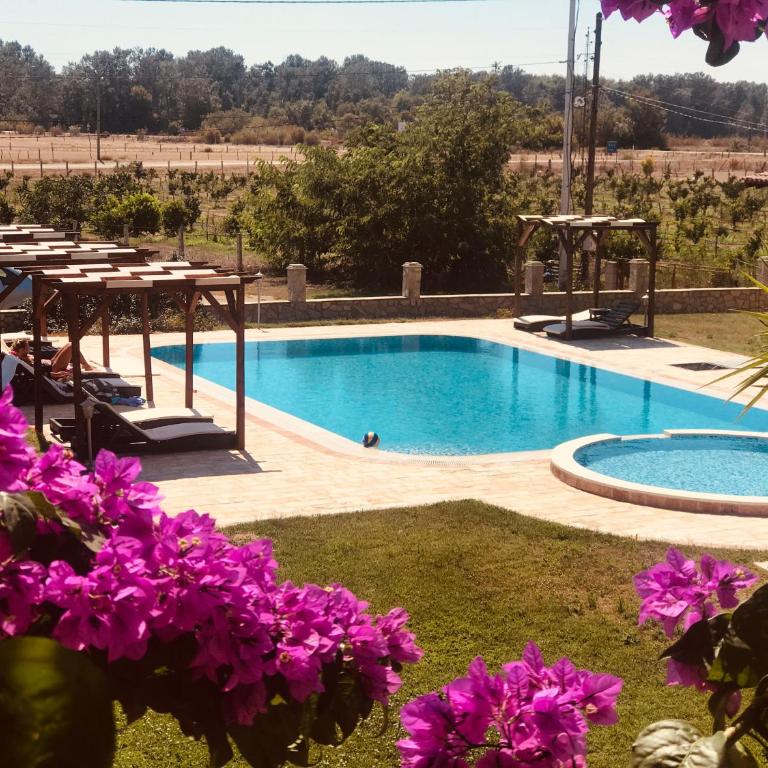Apartments Ada Bojana - Family Room - 6
