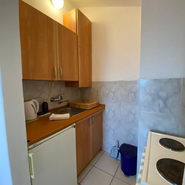 Katarina Apartments - Apartman s 1 Spavaćom Sobom u Potkrovlju sa Balkonom i Pogledom na More - 9