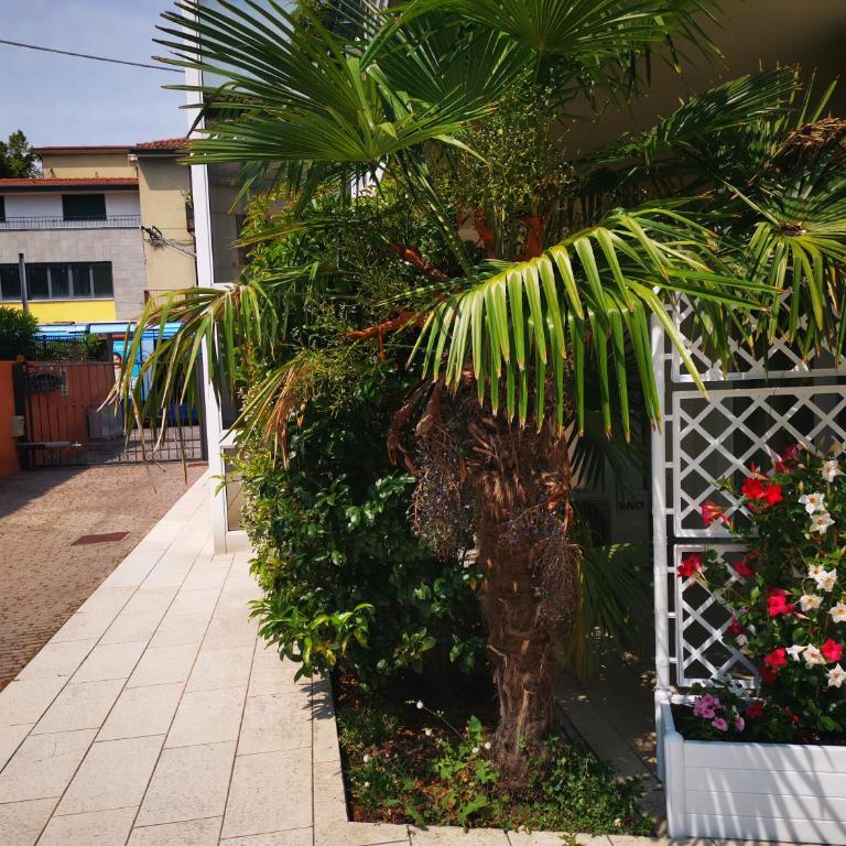 Villa Zen 2 - Appartamento - 1