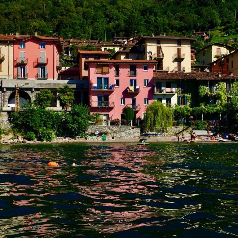 Nest on the Lake Lezzeno - Appartement - 1