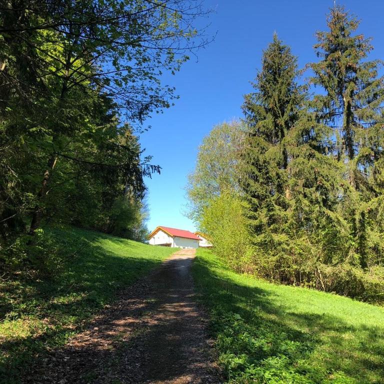 Oachkatzlschwoaf - Villa mit 3 Schlafzimmern - 36