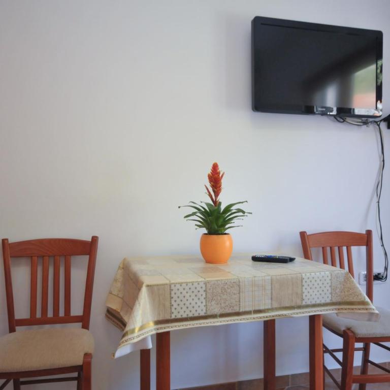 TILIA Apartments - Studio with Garden View - 2