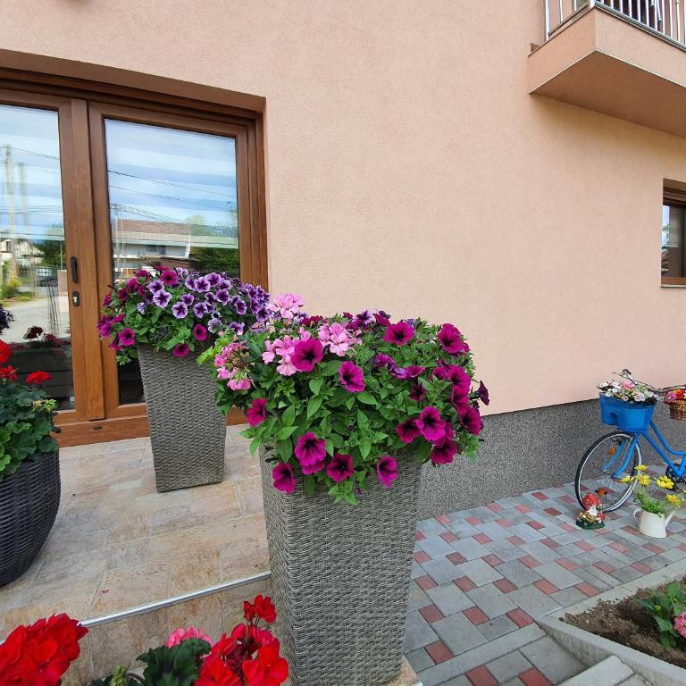 Apartments Karabegovic - Two-Bedroom Apartment - 9