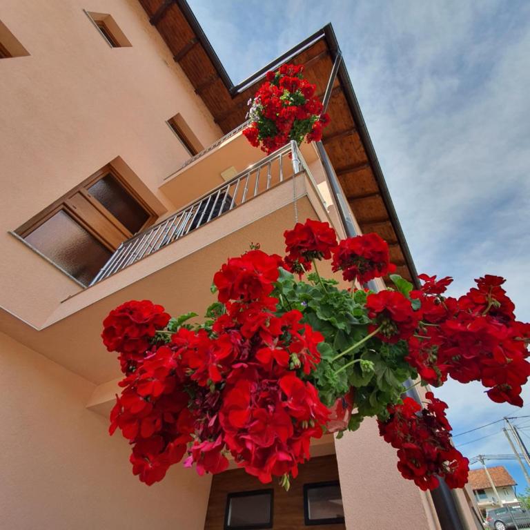 Apartments Karabegovic - Two-Bedroom Apartment - 1