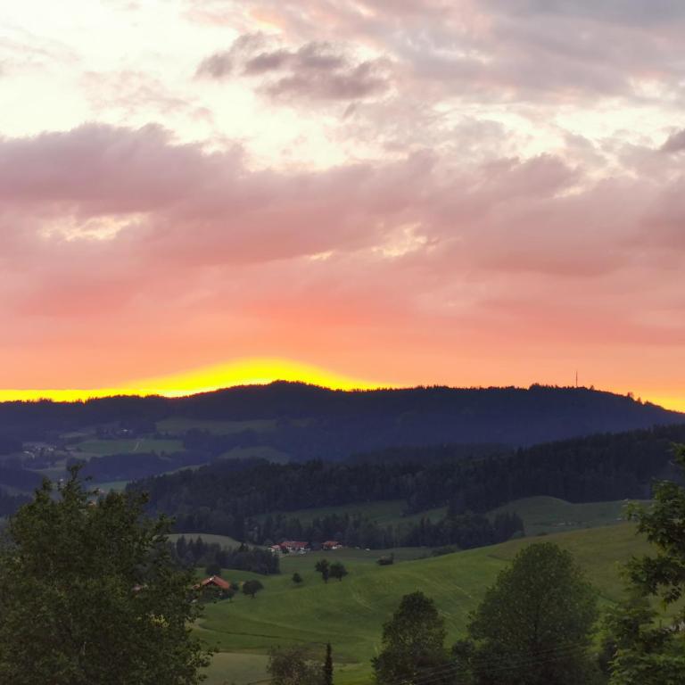 Allgäuer Ausblick - One-Bedroom Apartment - 4