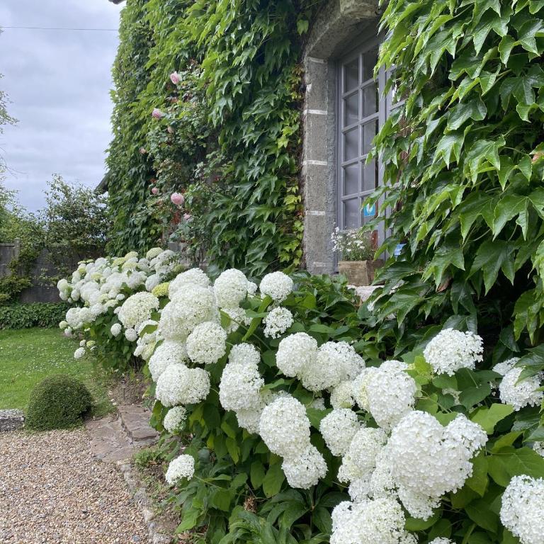 La Maison d'Aline - Honfleur - Maison d'Hôte De Charme A La Normande - Chambre Double avec Salle de Bains Privative - 3