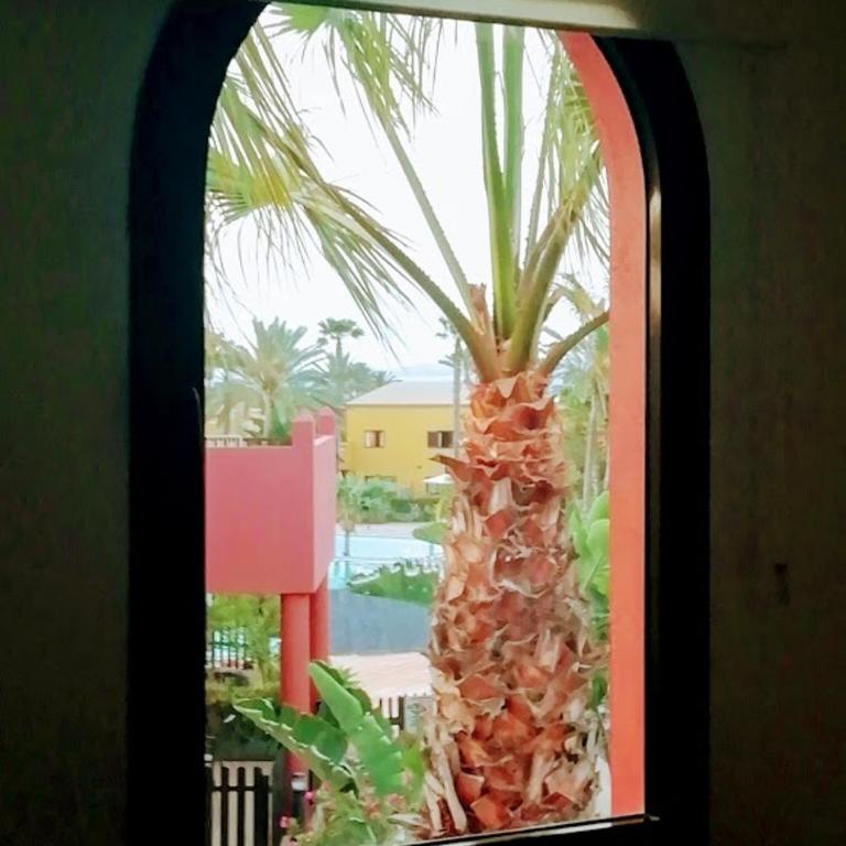 Fuerteventura Apartments Corralejo - One-Bedroom Apartment - 26