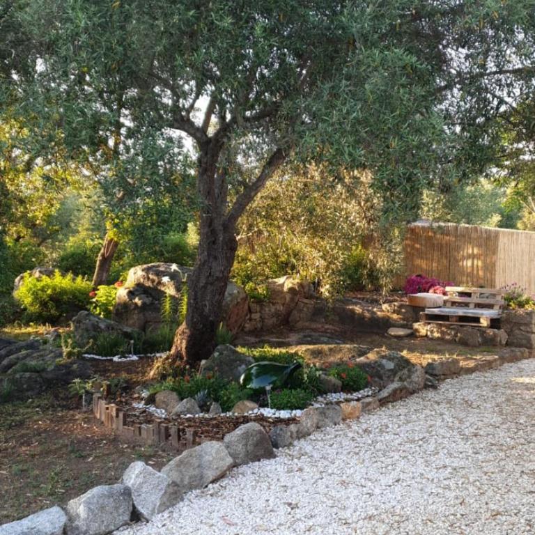 Casa vacanze Olbia - ALEBEA - - Casa con 1 Camera da Letto - 9