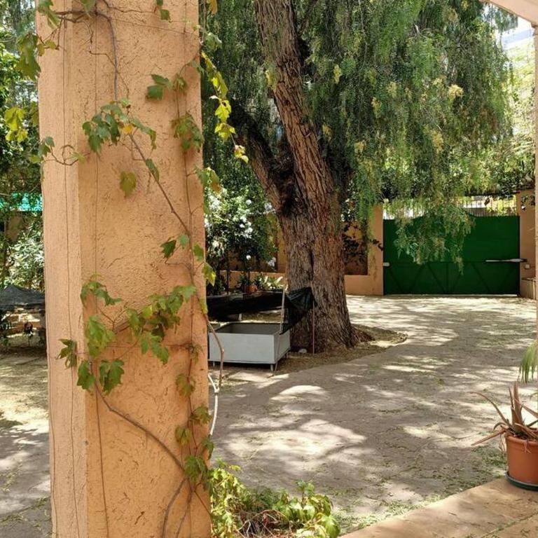 Apartamento-Bungalow con jardín y garaje - Apartamento de 2 dormitorios - 16