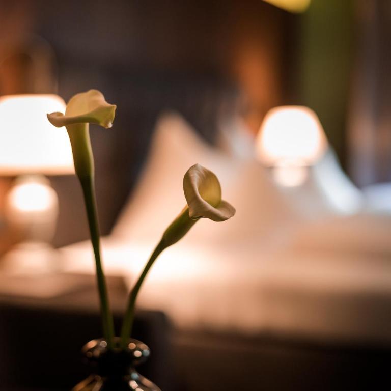 Boutique Hotel Mandarfnerhof - Superior Doppelzimmer mit Balkon - 5