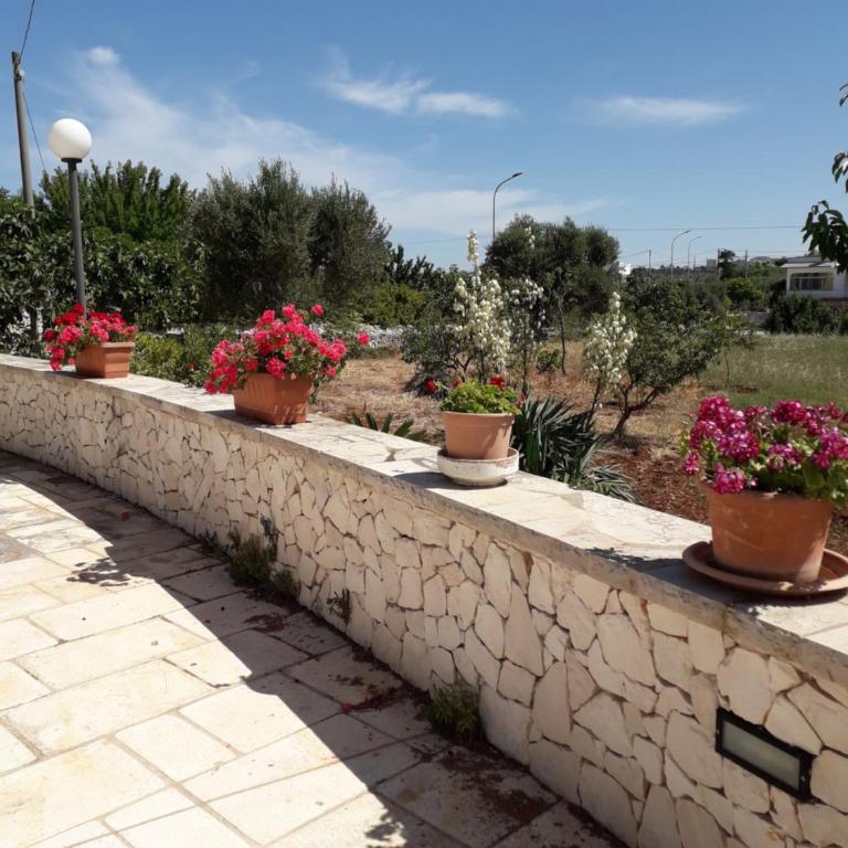Trulli in Valle D'Itria - Casa Vacanze - 18