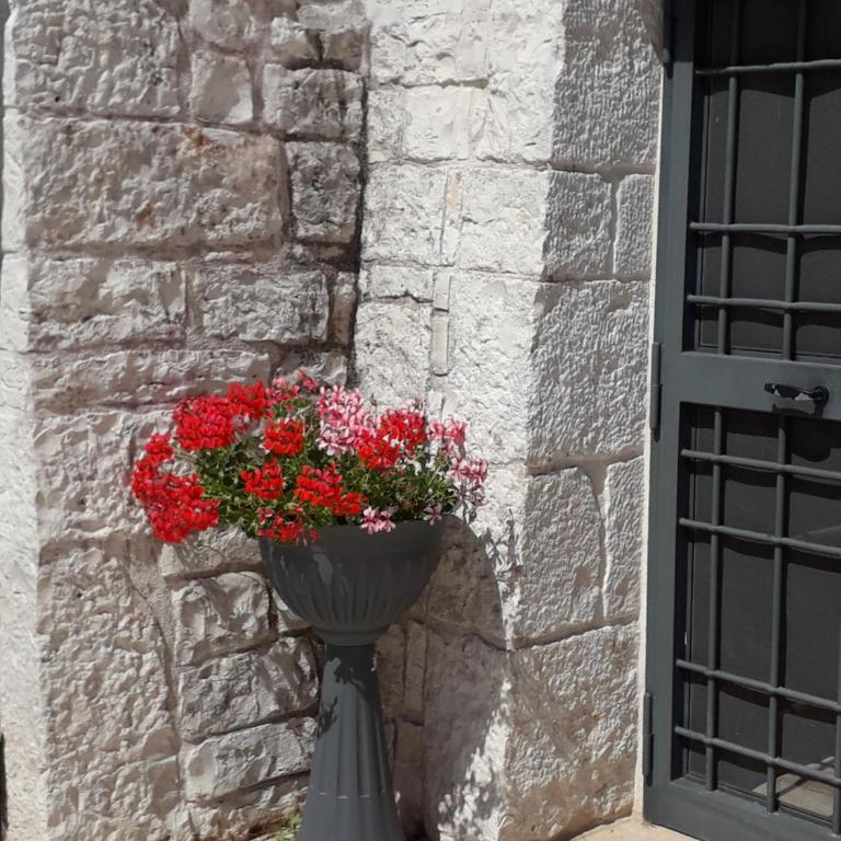 Trulli in Valle D'Itria - Casa Vacanze - 16