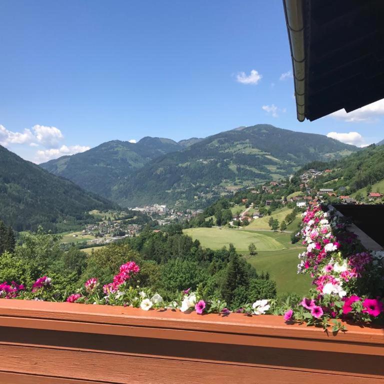 Landhaus Schönblick - Apartment mit Blick auf die Berge - 58