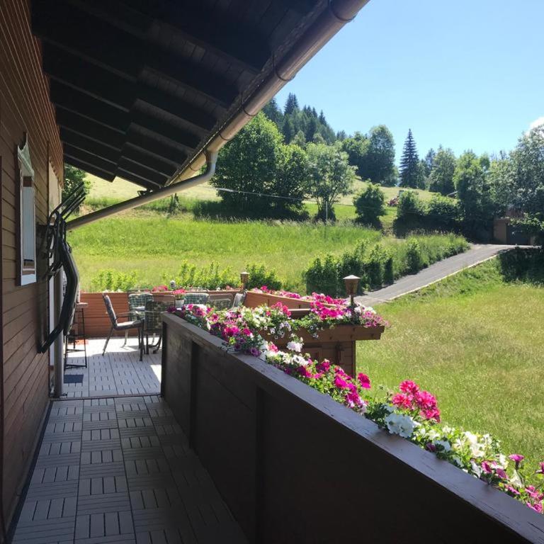Landhaus Schönblick - Apartment mit Blick auf die Berge - 59