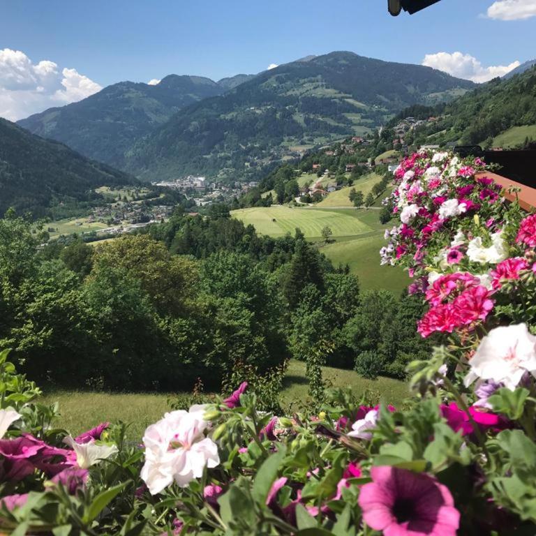 Landhaus Schönblick - Apartment mit Blick auf die Berge - 38