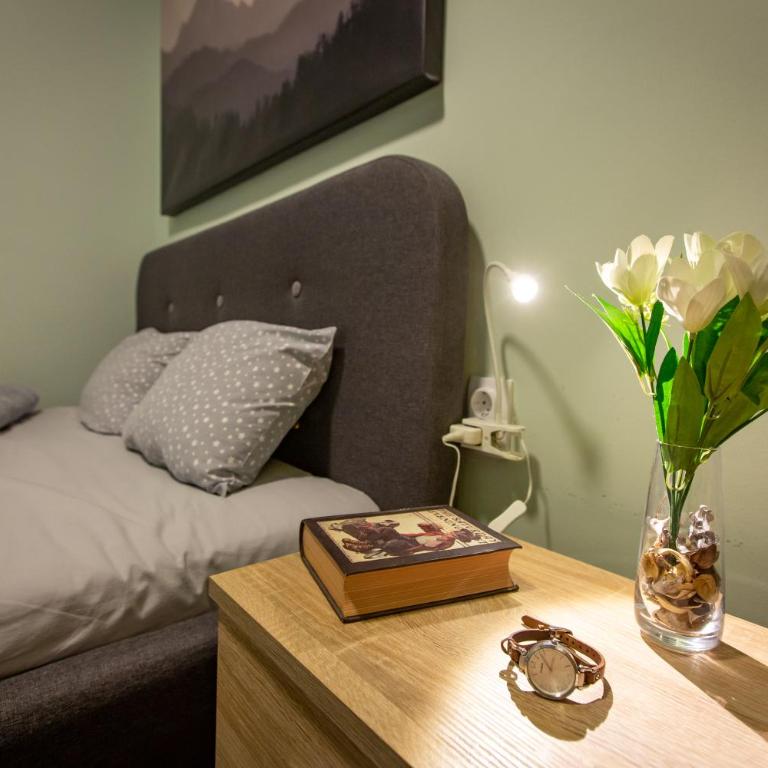 View - Apartment at Kopaonik - One-Bedroom Apartment - 10