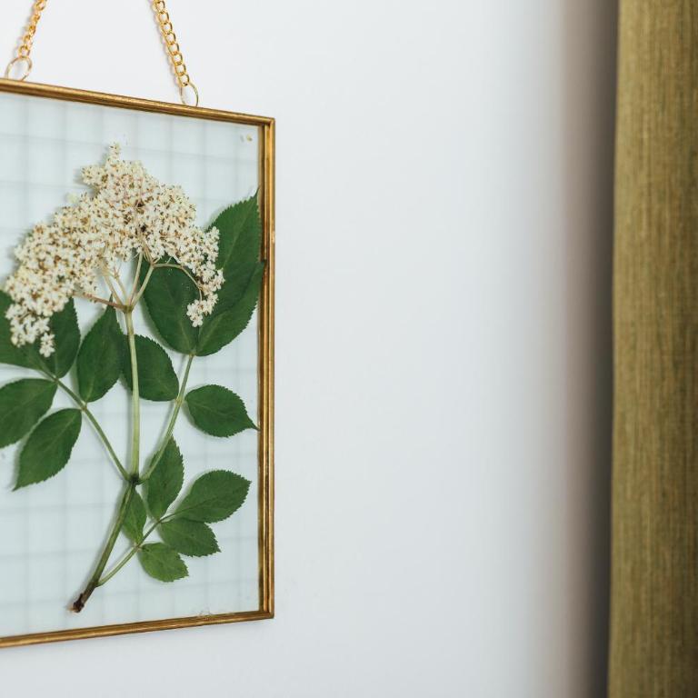 Naturoase Mirnock "Kärnten Card inklusive" - Apartamento de 1 dormitorio - 6