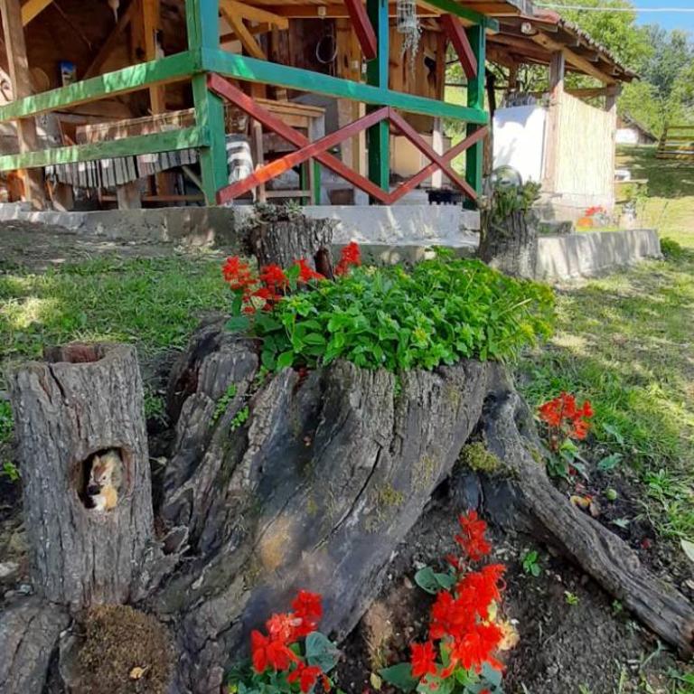 Stari dud Beserovina - Kuća sa 2 Spavaće Sobe - 4