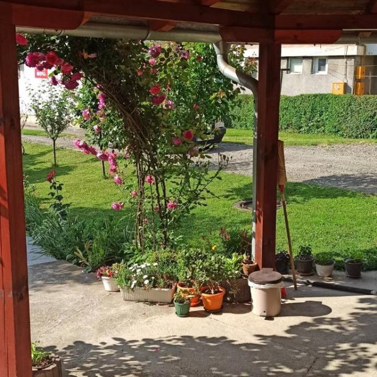 Kuća za odmor Ema - Kuća sa 2 Spavaće Sobe - 19