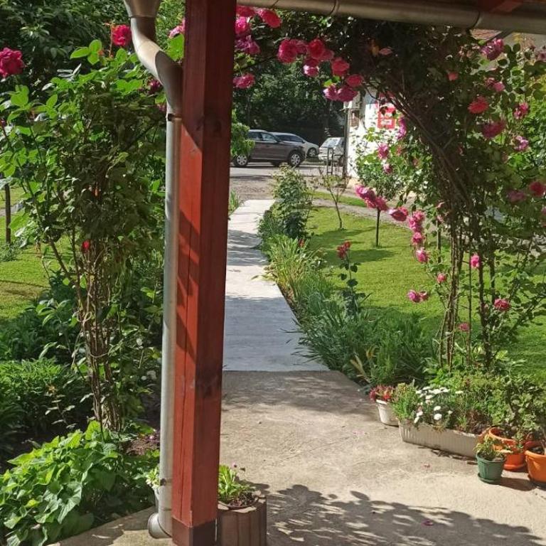 Kuća za odmor Ema - Kuća sa 2 Spavaće Sobe - 29