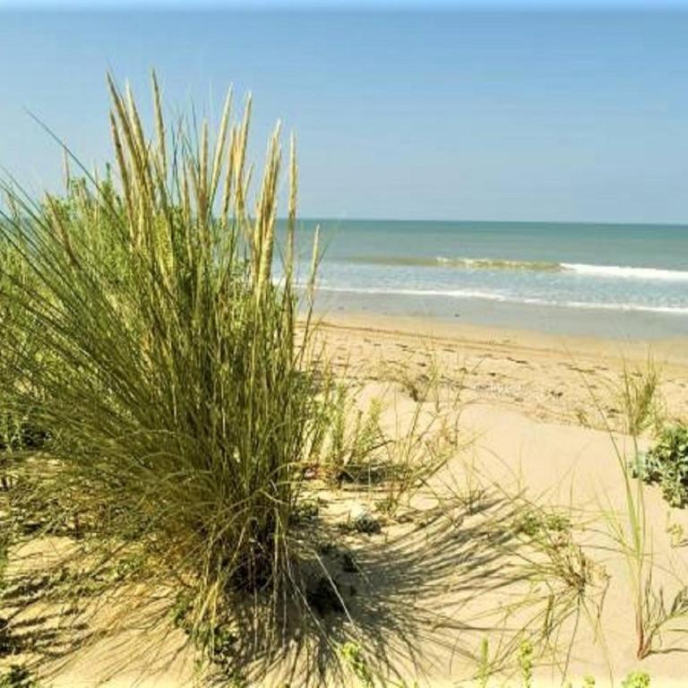 2 Bed - Sleeps 4 - Free Parking - 5 mins to Beach - Appartement - 12
