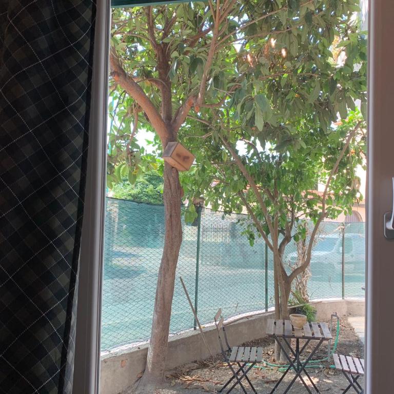La casa di Alvy - Suite con Vista Giardino - 3