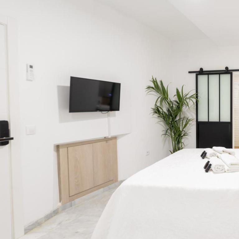 Guesthouse Room & Studio Seville La Flamenka - Habitación Doble Deluxe con balcón - 8