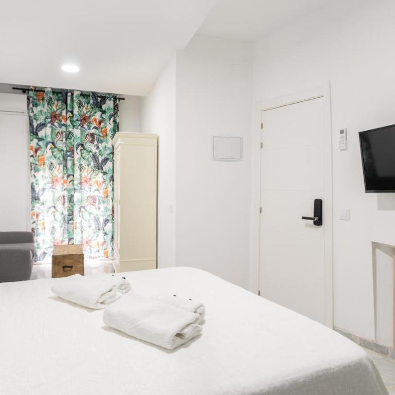 Guesthouse Room & Studio Seville La Flamenka - Habitación Doble Deluxe con balcón - 7
