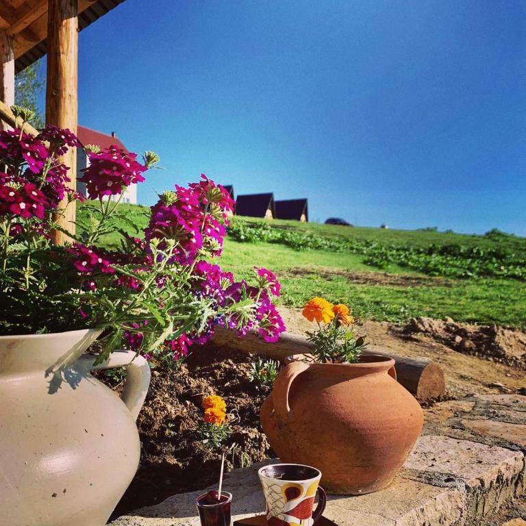 Brvnara Iskra Smrcevo brdo - Three-Bedroom Chalet - 27