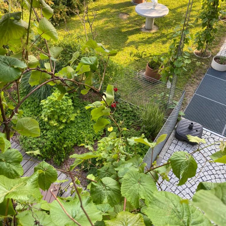 Holidayhome OMYXL - Appartamento con Vista Montagna - 34