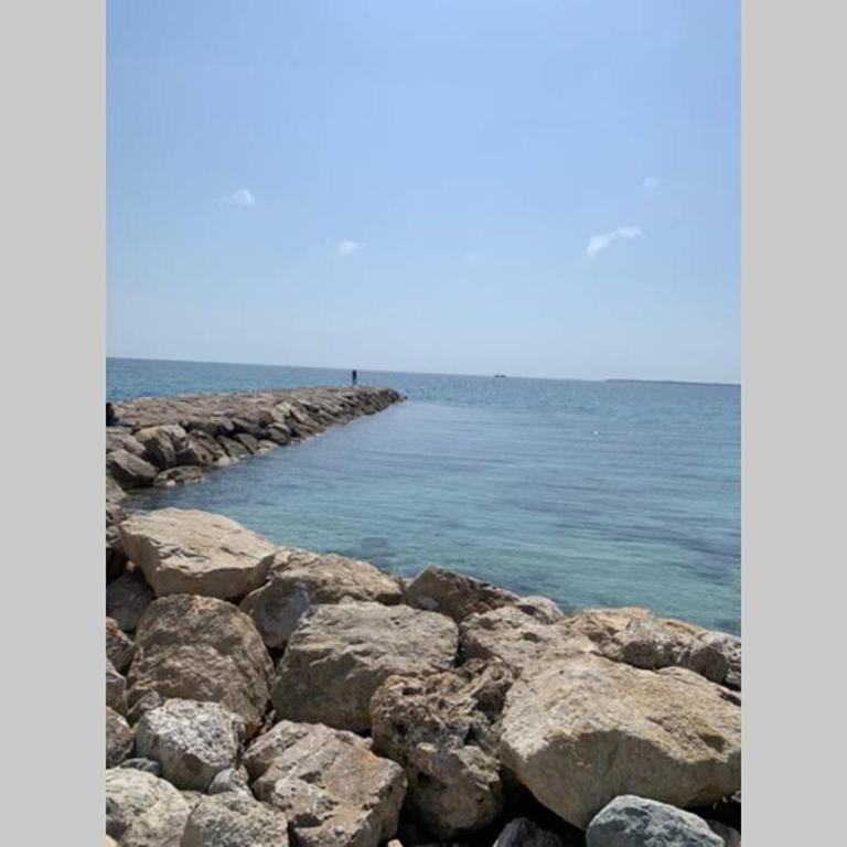 Juan les Pins Joli T2 parking inclus! - Appartement 1 Chambre - 9