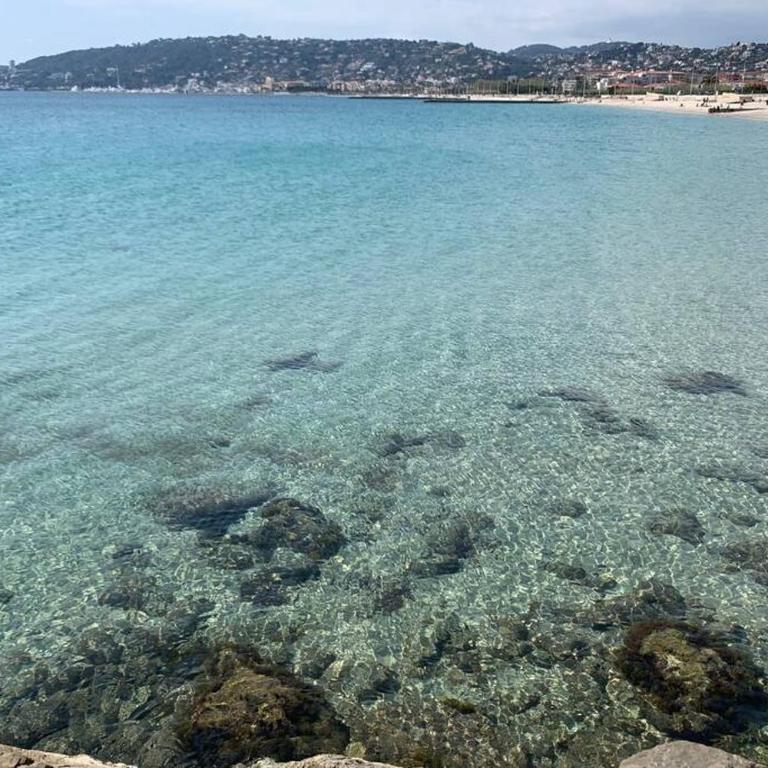 Juan les Pins Joli T2 parking inclus! - Appartement 1 Chambre - 11