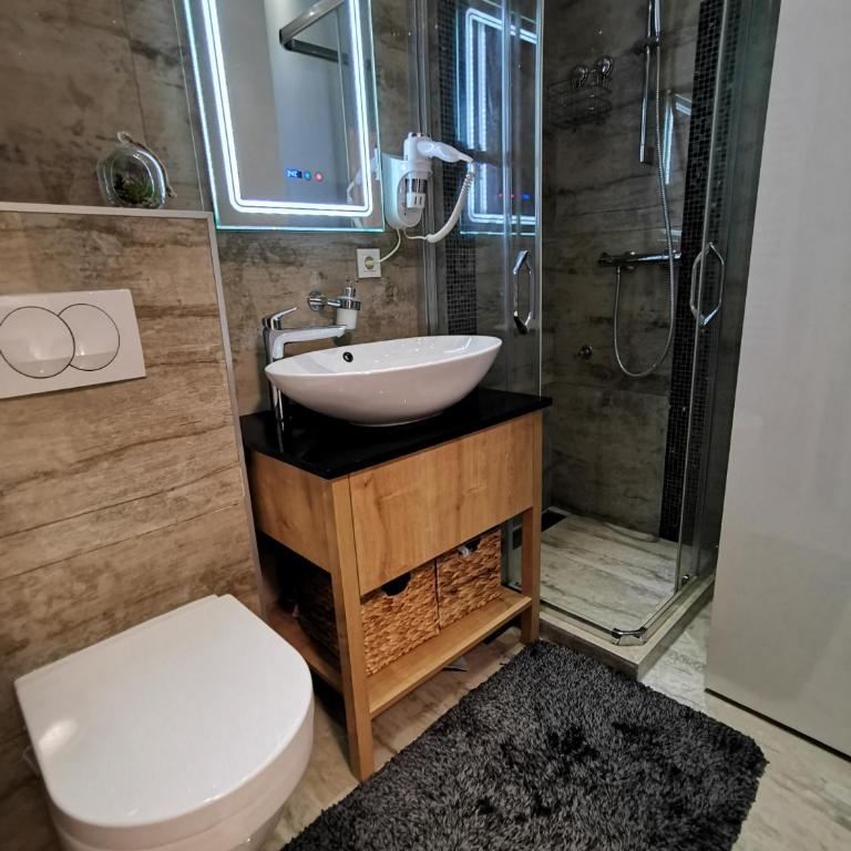 Lux Apartment with Sauna & Balcony - Apartman sa 2 Spavaće Sobe - 15