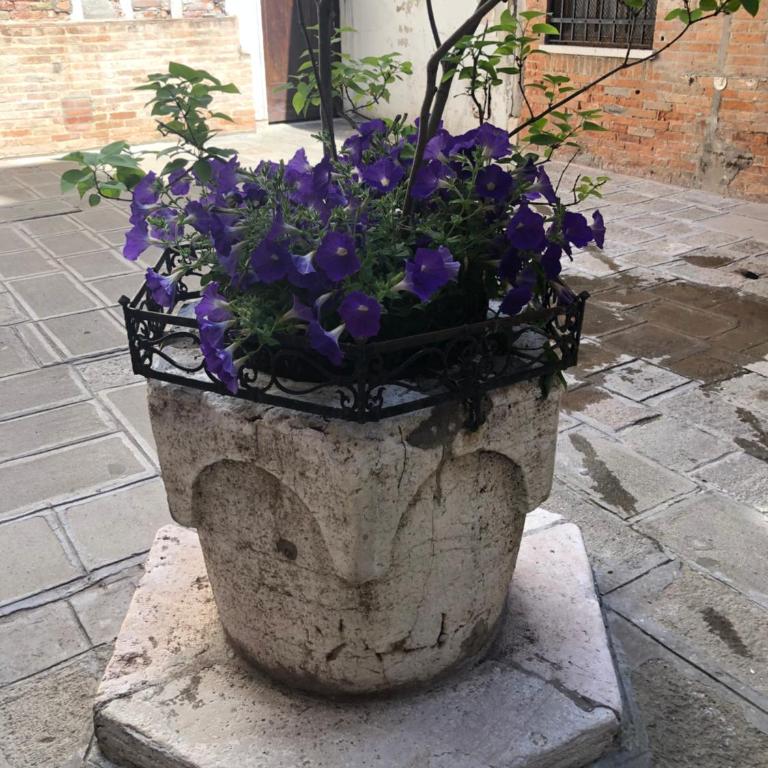 Venetian Infinity - Appartamento con Balcone - 24