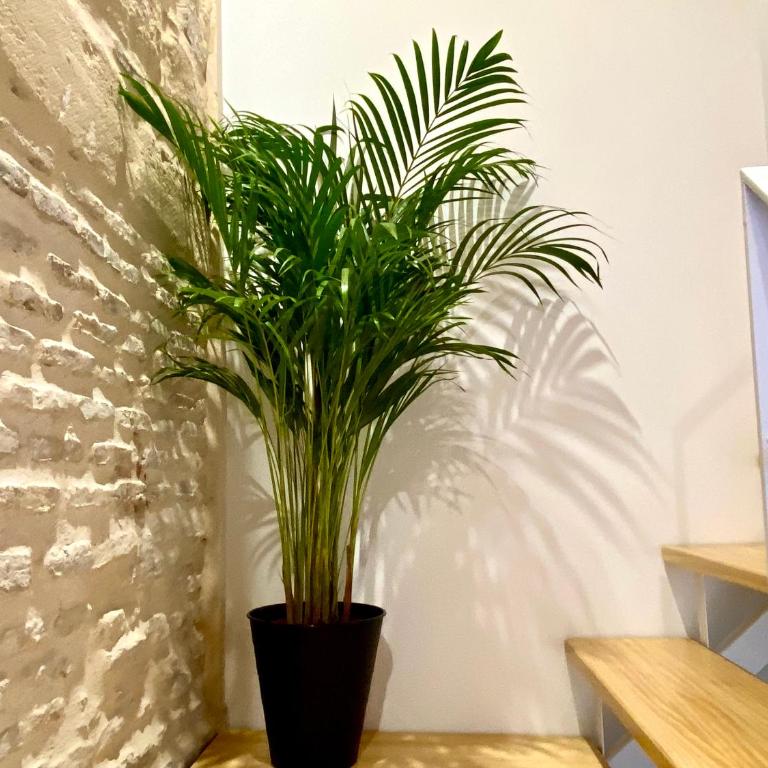 Loft Jerez Centro - Apartamento de 1 dormitorio - 12