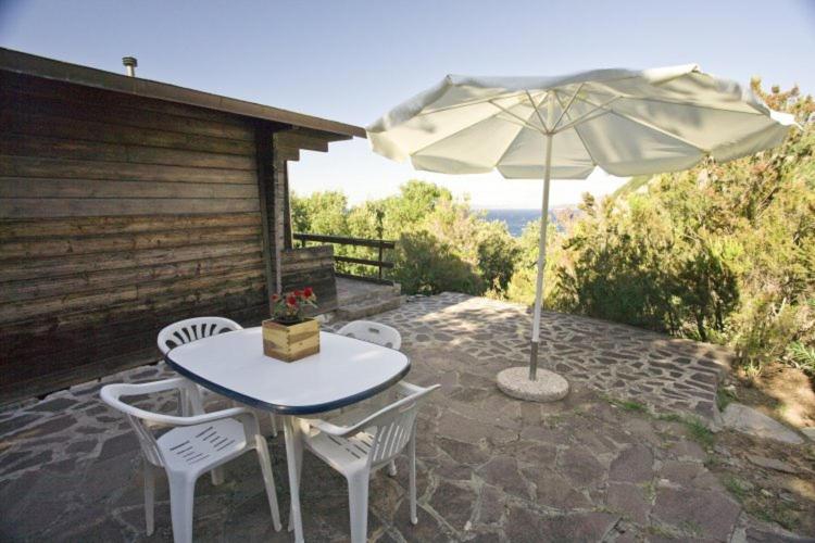 Casette nel Parco - Casa Vacanze - 1
