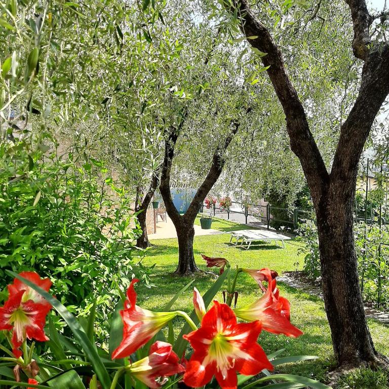 Apartment Maria - Appartamento con 2 Camere da Letto - 14
