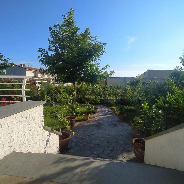 Villa la Bouganville - Villa mit Gartenblick - 19