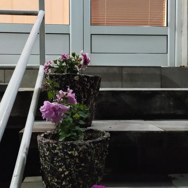 Apartman Todorovic - Apartman sa 1 Spavaćom Sobom - 13