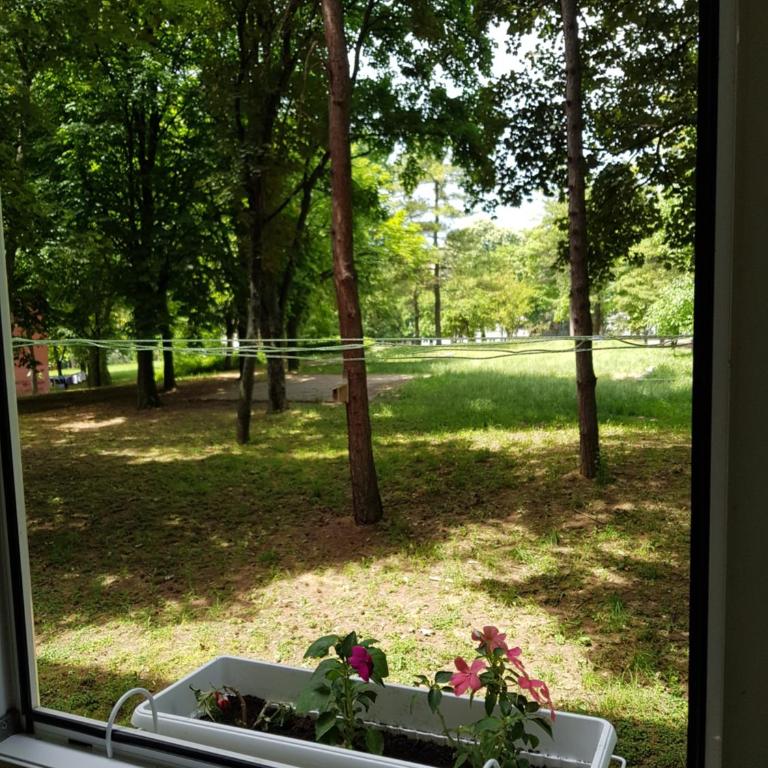 Apartman Park, TC Stadion Vozdovac - Apartman sa 1 Spavaćom Sobom - 19