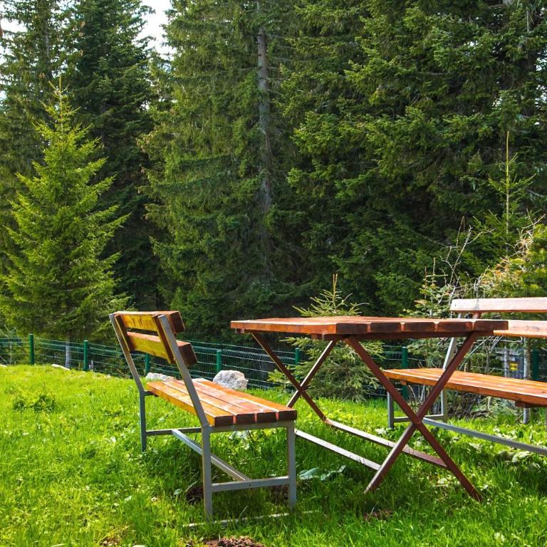 Bungalows Fairy tale - Vacation Home - 5