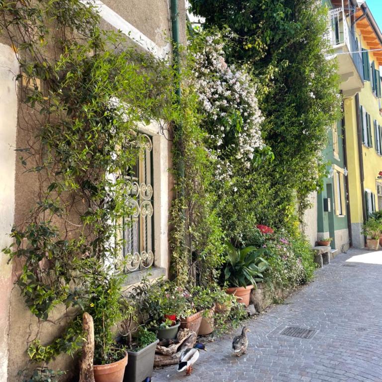 La Casa nei Vicoli: in Centro a Due Passi dal Lago - Appartamento con 1 Camera da Letto - 29