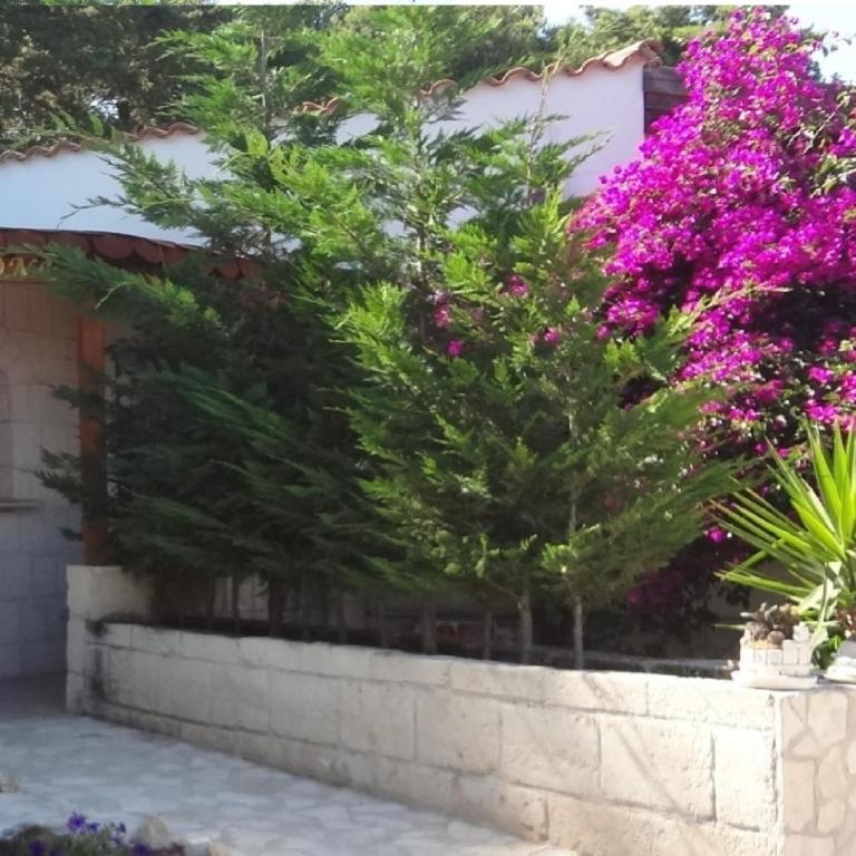Althea Village Residence - Appartamento con 2 Camere da Letto - 6