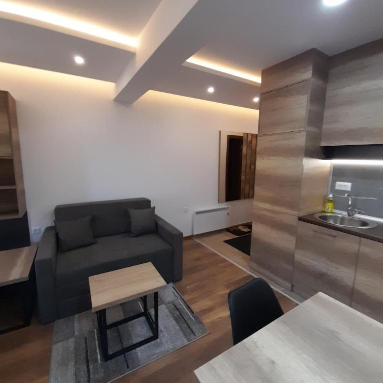 Apartmani President Kop - Apartman sa Pogledom na Planinu - 4