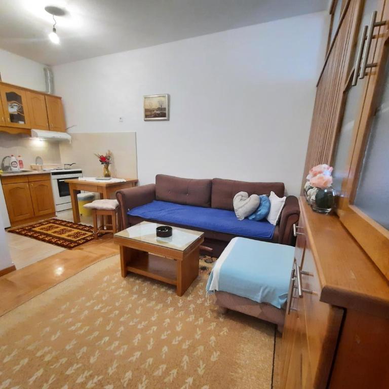 Apartman Borislava - Apartman sa 1 Spavaćom Sobom - 7